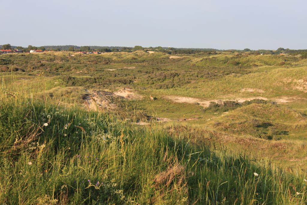 Posthuisje Zandvoort Room photo